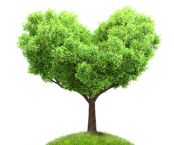 green tree in heart shape 3D illustration, environment concept - Photo, Image
