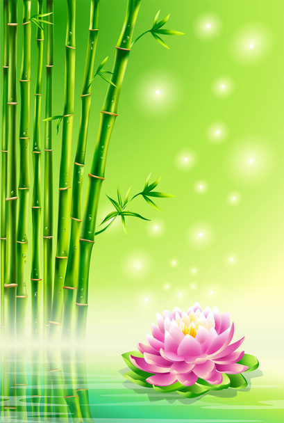 Green vector background, bamboo and lotus. - Vector, Image