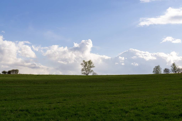  Ağaçlı ve manzaralı bir çayırda sabah. Slovakya - Fotoğraf, Görsel