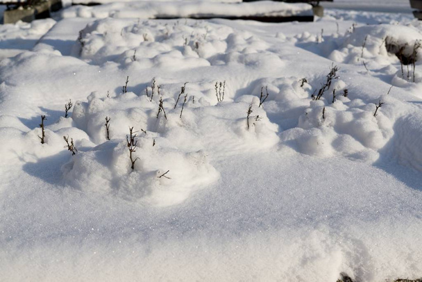 φόντο φρέσκο χιόνι την ώρα του χιονιού - Φωτογραφία, εικόνα
