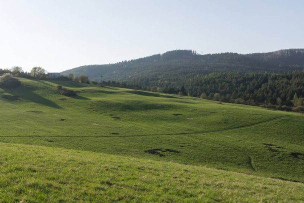 paisaje verde del prado, Eslovaquia
 - Foto, imagen
