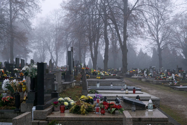 Туман над кладбищем. Дневной выстрел - Фото, изображение