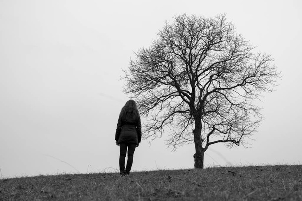 silueta ženy stojící sama u stromu - Fotografie, Obrázek