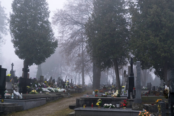 Mlha nad hřbitovem. Denní záběr - Fotografie, Obrázek