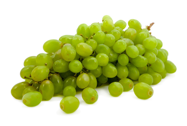 branch of green vine on a white background - Фото, зображення
