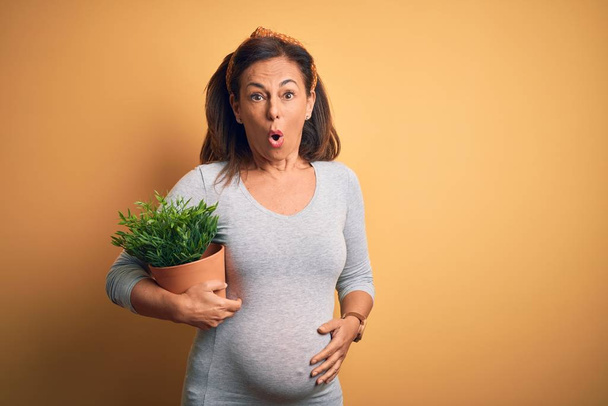 Orta yaşlı hamile bir kadın elinde saksı tutarken şok geçirmiş, korkmuş ve korku ifadesinden heyecanlanmış. - Fotoğraf, Görsel