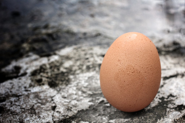 yakın çekim taze yumurta - Fotoğraf, Görsel