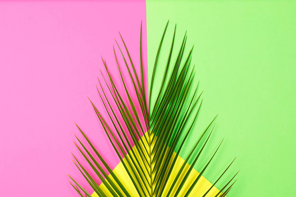 Green Tropical leaves palm tree on color background - Photo, Image