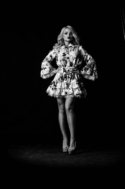 beautiful stylish blonde woman with makeup and hairdo posing on dark background   - Fotó, kép