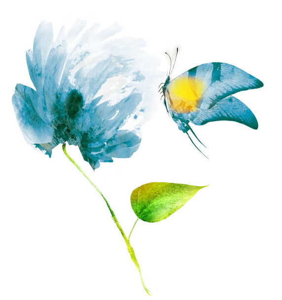Watercolor flower with butterfly , isolated on white background - Fotó, kép