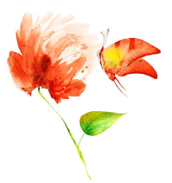 Watercolor flower with butterfly , isolated on white background - Zdjęcie, obraz