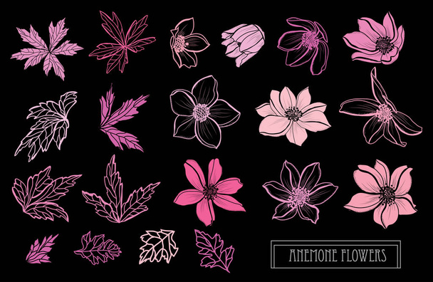 hand drawn floral decoration - Διάνυσμα, εικόνα