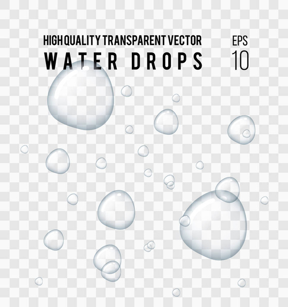 Realistic transparent water drop. - Vector, Image