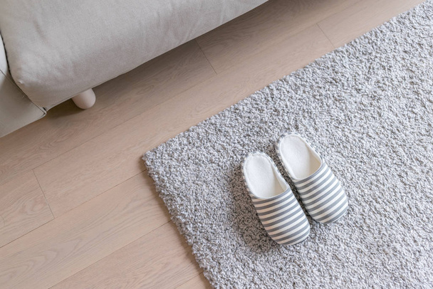Beige Slipper on carpet at home - Φωτογραφία, εικόνα