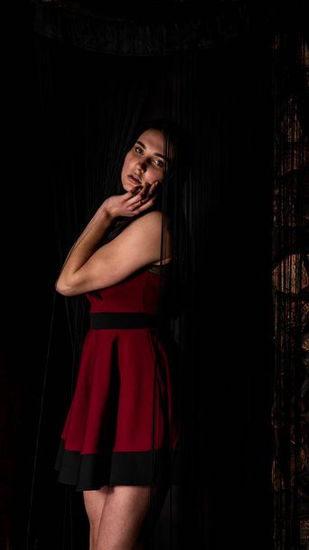 Pretty young sexy model female with dark hair in red dress posing in dark studio. - Photo, Image