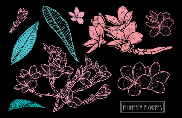 hand drawn floral decoration - Vector, afbeelding