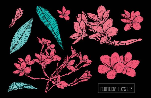 hand drawn floral decoration - Vektor, kép