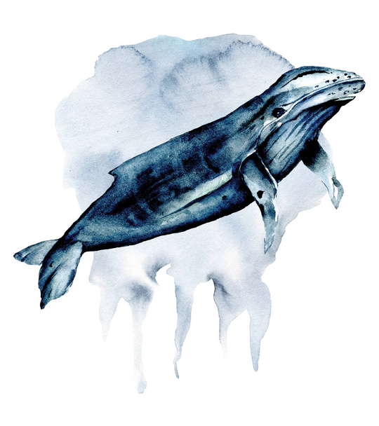 Φάλαινα ακουαρέλα κινούμενο σχέδιο. Υποβρύχια ζωή, θαλάσσια ζώα τέλεια για εκτύπωση σε παιδικά υφάσματα, αφίσες, ετικέτες, κάρτες. Απομονωμένο σε λευκό φόντο. Ζωγραφική χεριών - Φωτογραφία, εικόνα