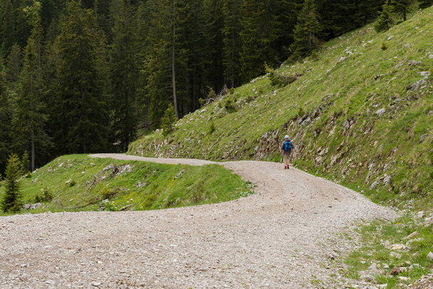 Hiking in the Karwendel mountains - Zdjęcie, obraz