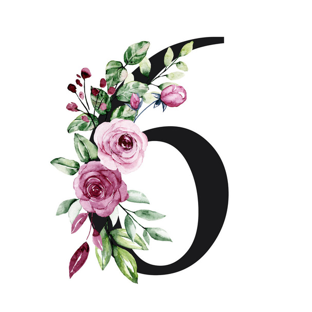 number 6 on white background, with flowers and leaves made with watercolor, floral monogram - 写真・画像