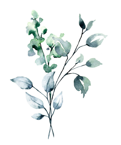 ветви с акварелью рисунок цветов и листьев, цветочная концепция
 - Фото, изображение