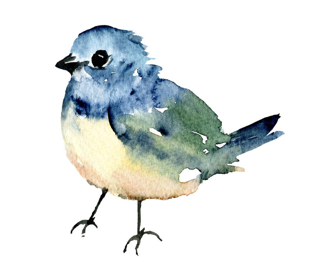 Bird, watercolor painting, wildlife artwork isolated on white background. - Zdjęcie, obraz