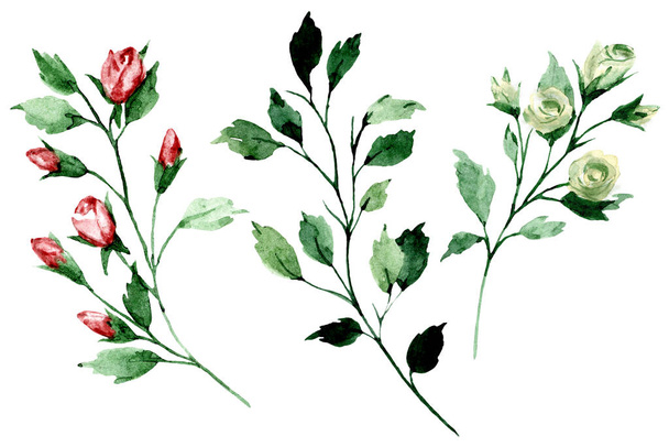 branches with watercolor drawing flowers and leaves, floral concept - 写真・画像