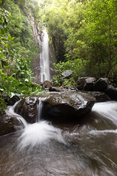 Cachoeira / riacho em uma floresta tropical profunda
. - Foto, Imagem