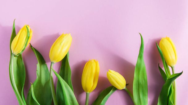 arreglo de flores, tulipanes amarillos sobre un fondo rosa
 - Foto, Imagen