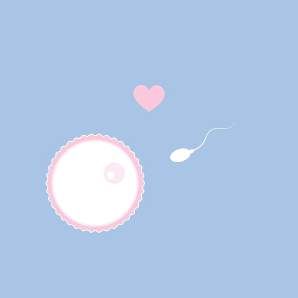 reproduction de la fertilité des ovules et des spermatozoïdes
 - Vecteur, image