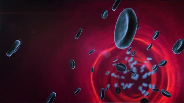 Vírusok a vörösvértesteken, eritrocitákon és vírusokon a vérben - Felvétel, videó