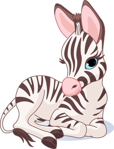 Cute Zebra Foal - Wektor, obraz