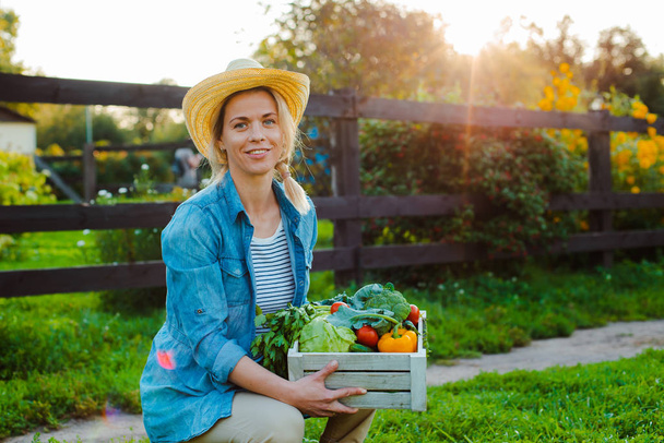 Young 30-35 years old beautiful Woman farmer in hat with box of fresh ecological vegetables on garden background at sunset. - Фото, изображение