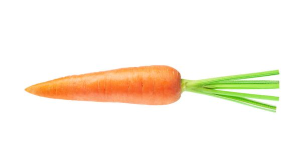 Органічна морква ізольована на білому тлі. Близько до моркви. Повна глибина різкості
. - Фото, зображення