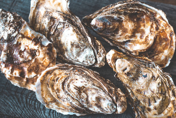 Raw oysters on the board close-up - Φωτογραφία, εικόνα