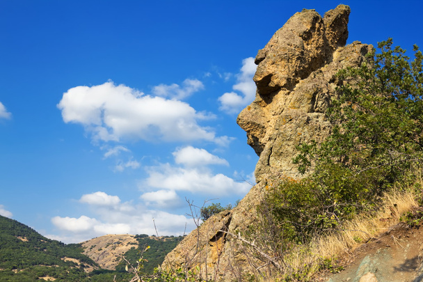 Stone head.cliffs of whimsical form. - Foto, Bild