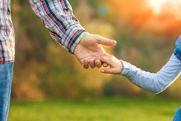 a beautiful hands of parent and child outdoors in the park - Фото, изображение