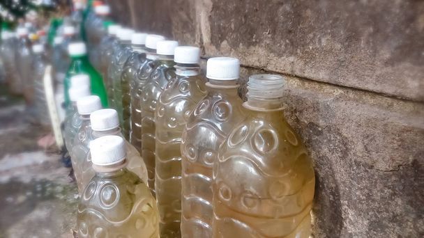 Botellas de plástico que están sucias con agua para el riego del jardín alineadas contra una pared. La mayoría tiene sus tapas de botella
. - Foto, Imagen