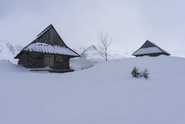 Winter in the Tatra Mountains. Gasienicowa Valley. - 写真・画像