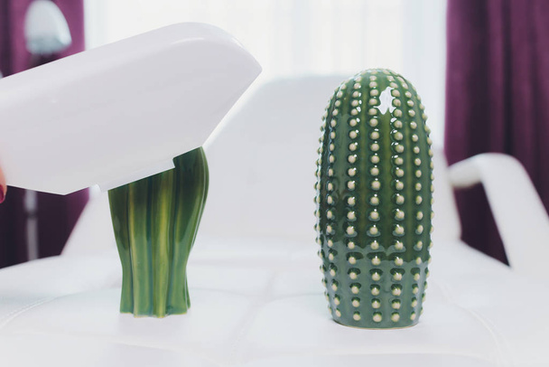 Epilazione laser della gamba in un moderno istituto di bellezza. cactus
 - Foto, immagini