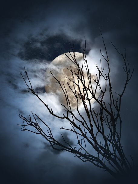 noche de luna llena - Foto, Imagen