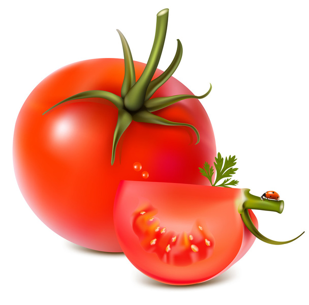 Tomato, parsley and ladybug - Vector, Imagen