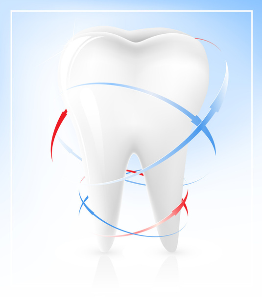 illustration of white tooth. - Vettoriali, immagini