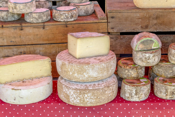 various cheese wheels at a market seen in France - Fotoğraf, Görsel