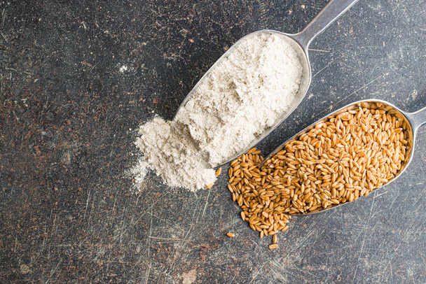 Whole grain wheat flour and wheat grains in metal scoop. - Фото, изображение