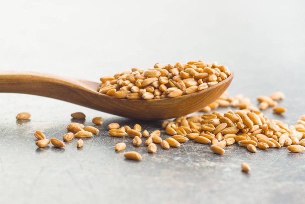 Healthy spelt grains in wooden spoon. - Photo, Image