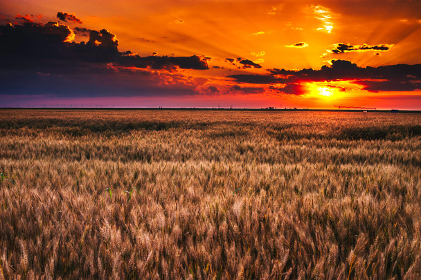 jó sunset mező fölött - Fotó, kép