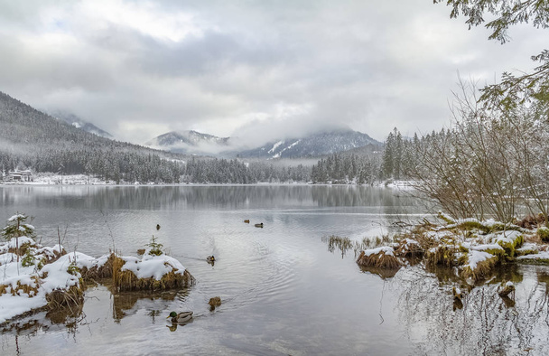 lake named Hintersee in Bavaria at winter time - Fotografie, Obrázek