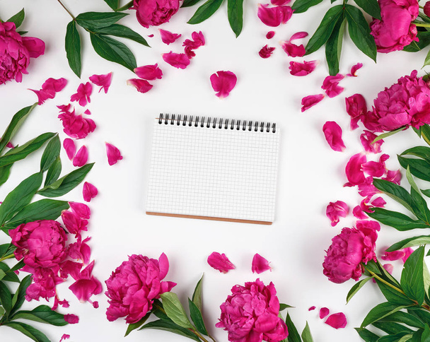 open blank notebook with white sheets and blooming red peonies with green leaves, top view, white background - Foto, afbeelding