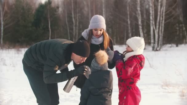 Οικογένεια τεσσάρων ατόμων που πίνουν ζεστά ροφήματα από το termos το χειμώνα - Πλάνα, βίντεο